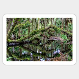 Flooded forest Sticker